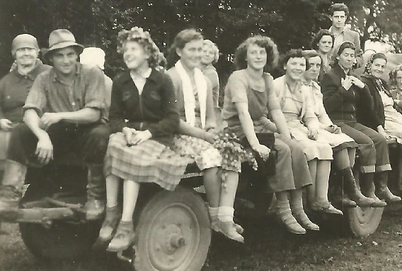 Abschlussbild Hopfenernte 1958 Der junge Hermann Langenstein mit Hopfenbrockerinnen Zuschnitt