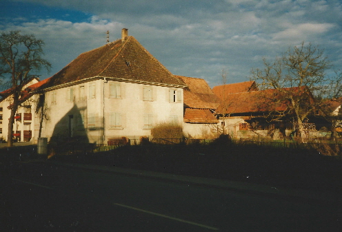 Burth Willi 1991 vor Abbruch von Johanna Fink