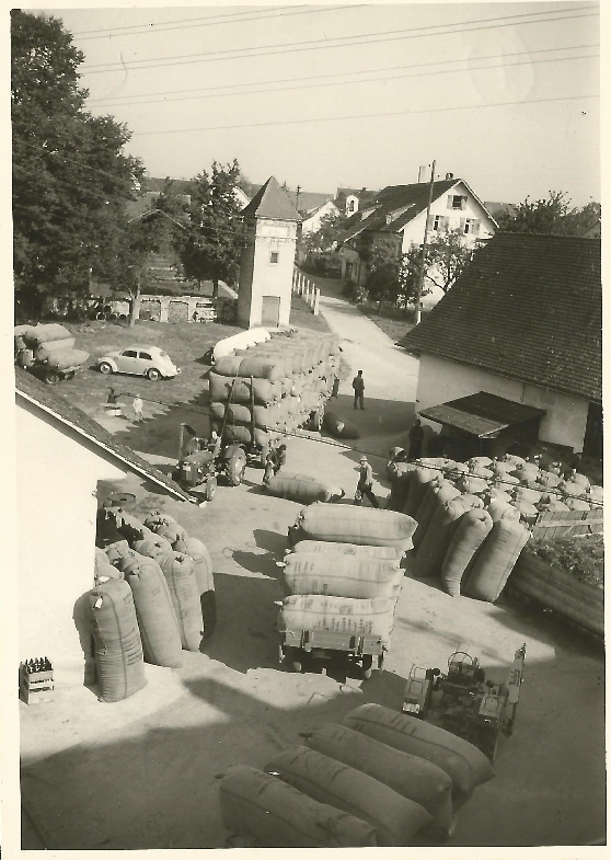 Hopfenanlieferung 2 Hopfenwaage hinter dem Rathaus um 1958