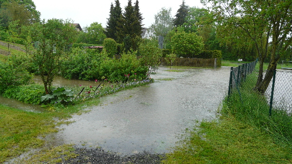 Kobenbach vor B31 Rückhaltebecken P1200428 Kobenbach vor B31 Rückhaltebecken P1200428