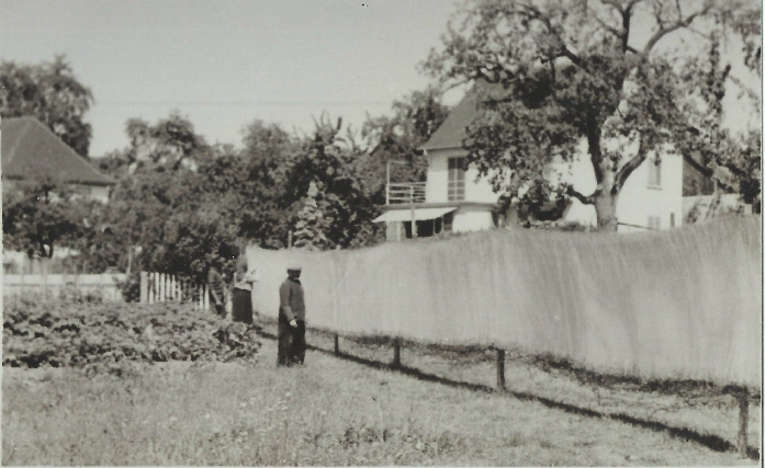 Netzhnge 1956 am Kniebach Im Hintergrund Haus Schdler heute Bank