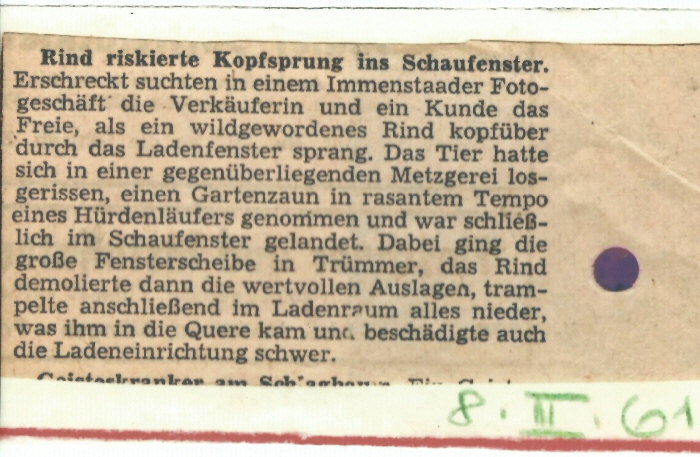 Zeitungsbericht 1